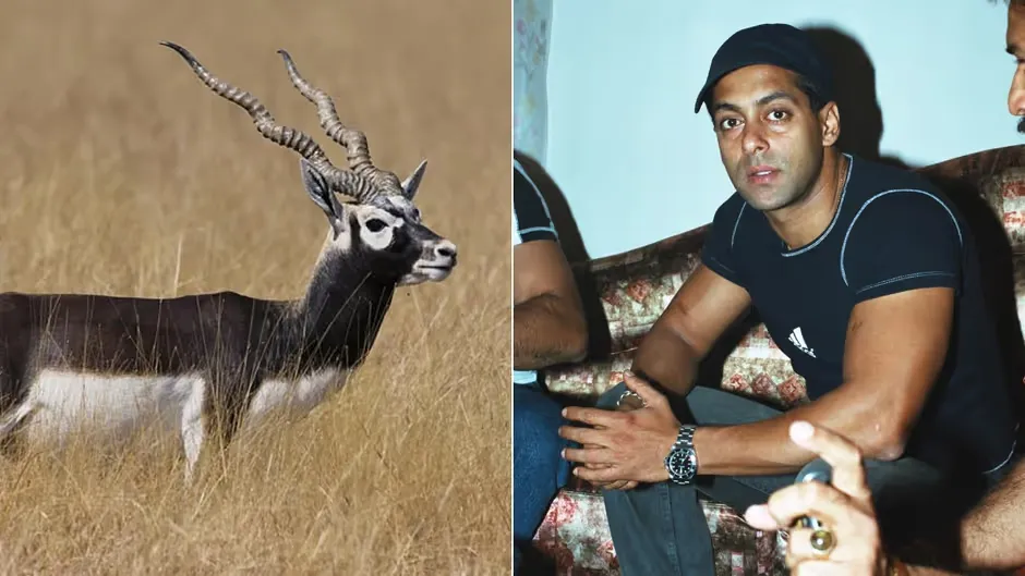Salman Khan Black Buck Case village